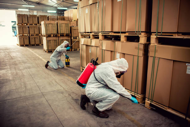 Best Termite Control Services  in Biscayne Park, FL