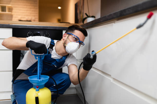 Best Pest Control Near Me  in Biscayne Park, FL